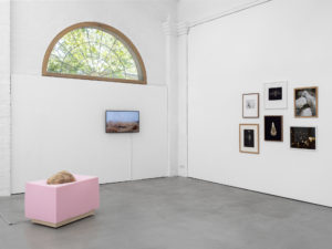 links: Bedrock (c) Anna Rún Tryggvadóttir, mitte: Hringvelli /Thingvellir Turning (c) Anna Rún Tryggvadóttir, rechts: Untitled (aus der Serie „Natten“) (c) Margot Wallard