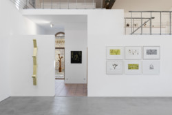 Joncquil und Warffemius, Kunstverein KunstHaus Potsdam