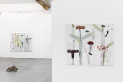 Joncquil und Warffemius, Kunstverein KunstHaus Potsdam