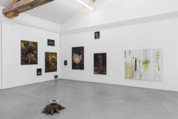Joncquil und Warffemius, Kunstverein KunstHaus Potsdam