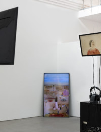 If you are manipulated, manipulate back! Strategien zeitgenössischer Künstler*innen aus Ungarn