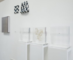 Foto: Sebastian Gabsch